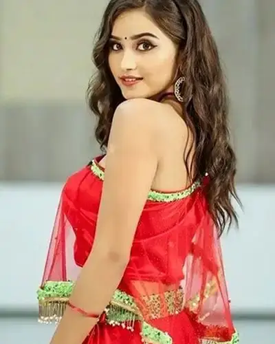Call Girls Service Villupuram